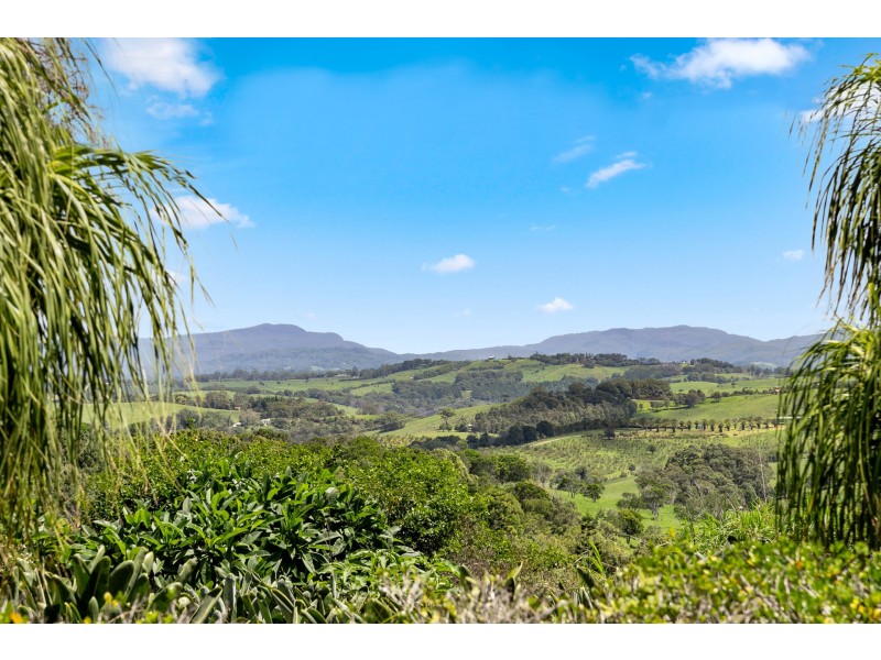 233 Coopers Shoot Road, Coopers Shoot NSW 2479