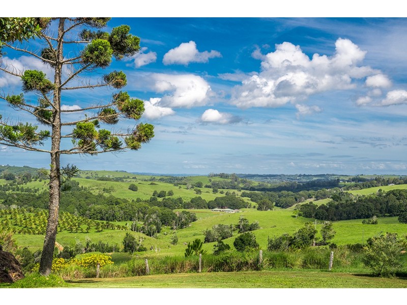 485 Bangalow Road, Talofa NSW 2481