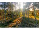 Lot 2 Boundary Creek Road, East Wardell NSW 2477