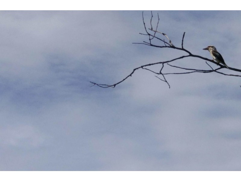 Lot 2 Boundary Creek Road, East Wardell NSW 2477