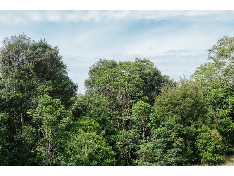 11 Koala Close, Ewingsdale NSW 2481