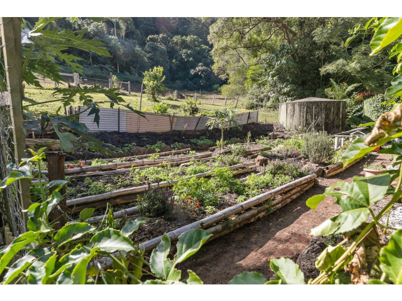 804 Main Arm Road, Main Arm NSW 2482