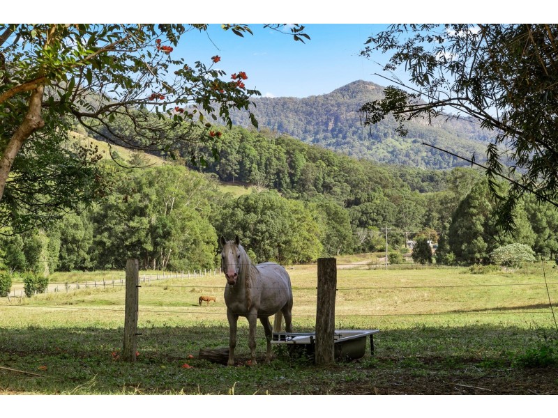 804 Main Arm Road, Main Arm NSW 2482