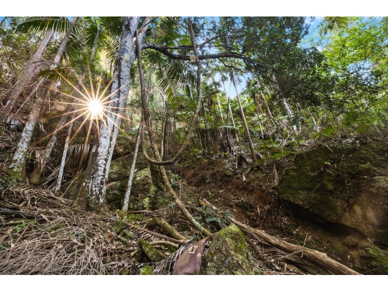 804 Main Arm Road, Main Arm NSW 2482