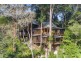 Upper Wilsons Creek NSW 2482
