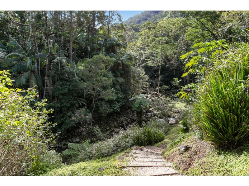 Upper Wilsons Creek NSW 2482