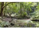 Upper Wilsons Creek NSW 2482
