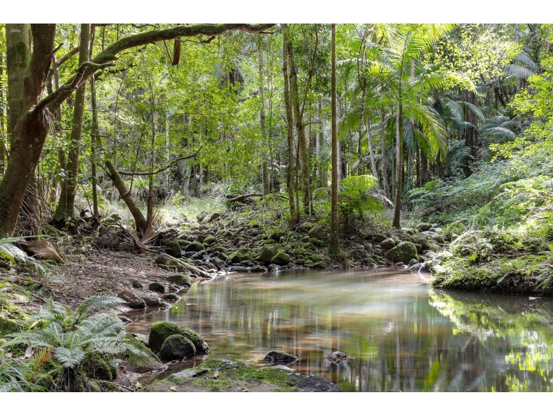 Upper Wilsons Creek NSW 2482