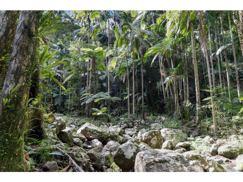 Upper Wilsons Creek NSW 2482