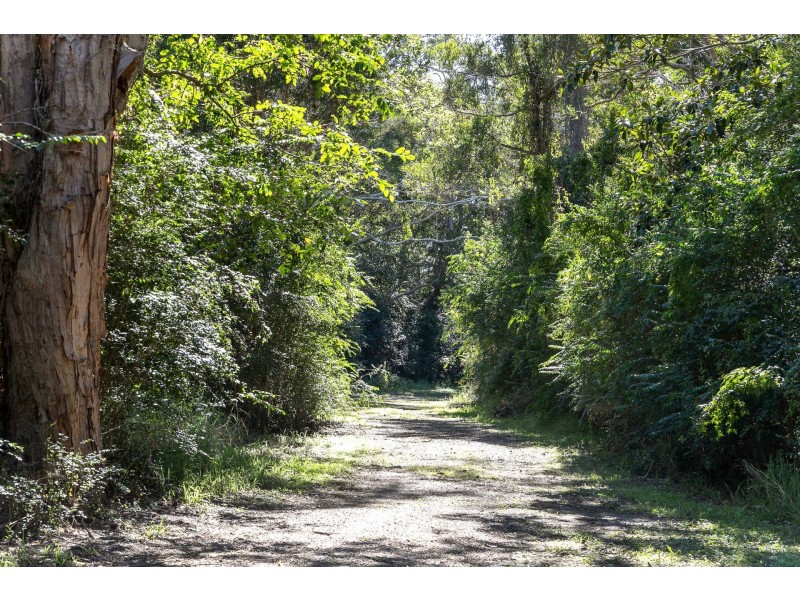 189 Tyagarah Road, Tyagarah NSW 2481