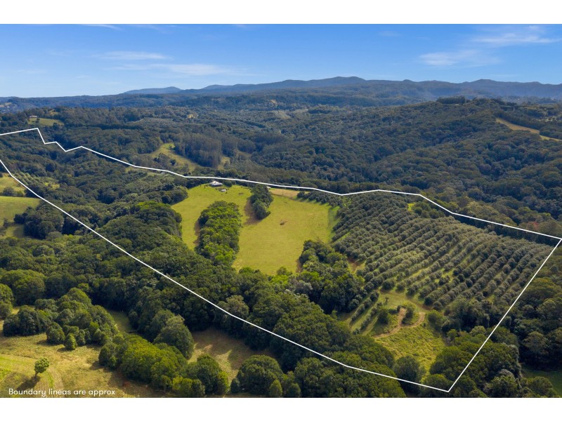 107 Eureka Road, Rosebank NSW 2480