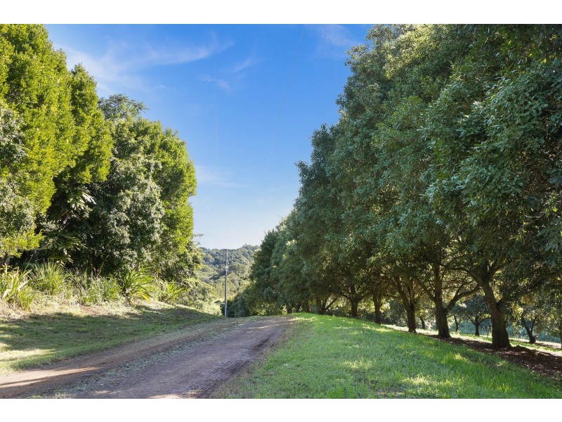 107 Eureka Road, Rosebank NSW 2480