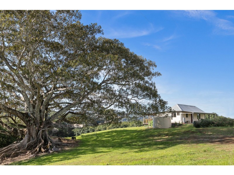 107 Eureka Road, Rosebank NSW 2480