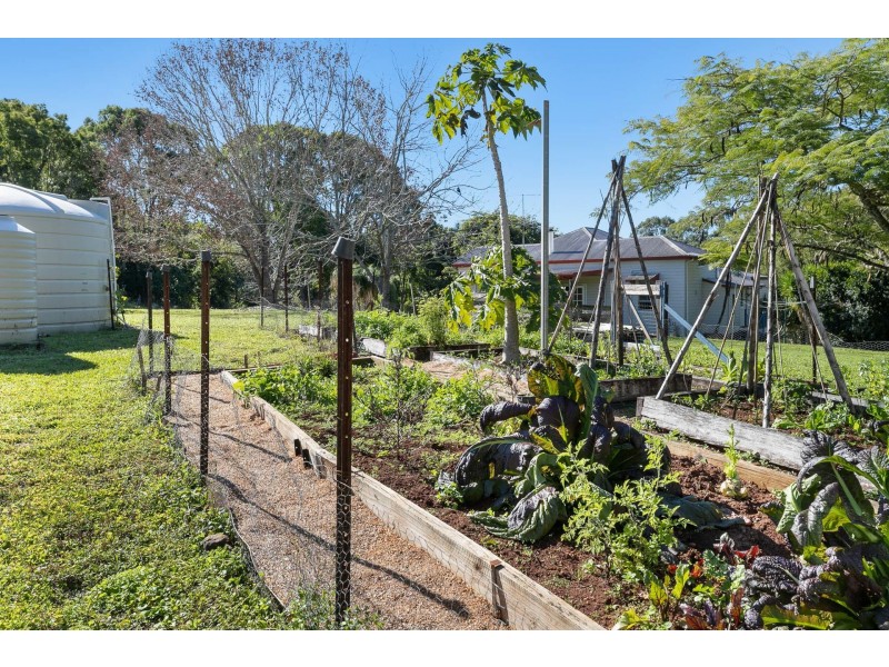 1137 Booyong Road, Clunes NSW 2480