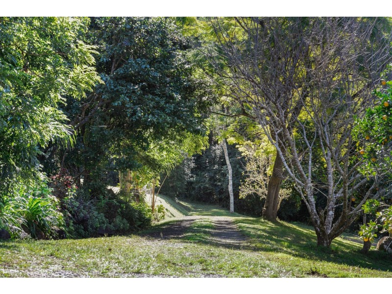 1137 Booyong Road, Clunes NSW 2480