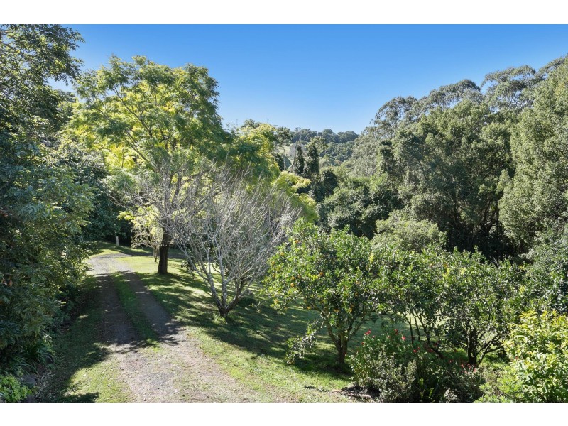 1137 Booyong Road, Clunes NSW 2480