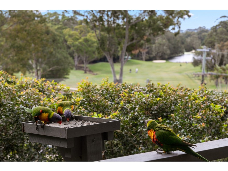 6/41 Redgum Place, Suffolk Park NSW 2481