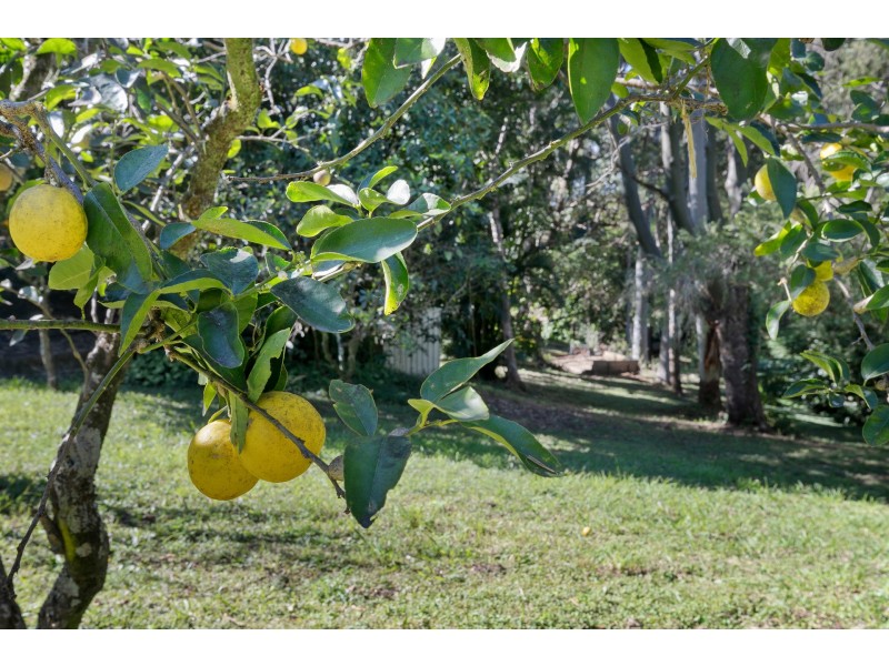 58 Kingsvale Road, Myocum NSW 2481