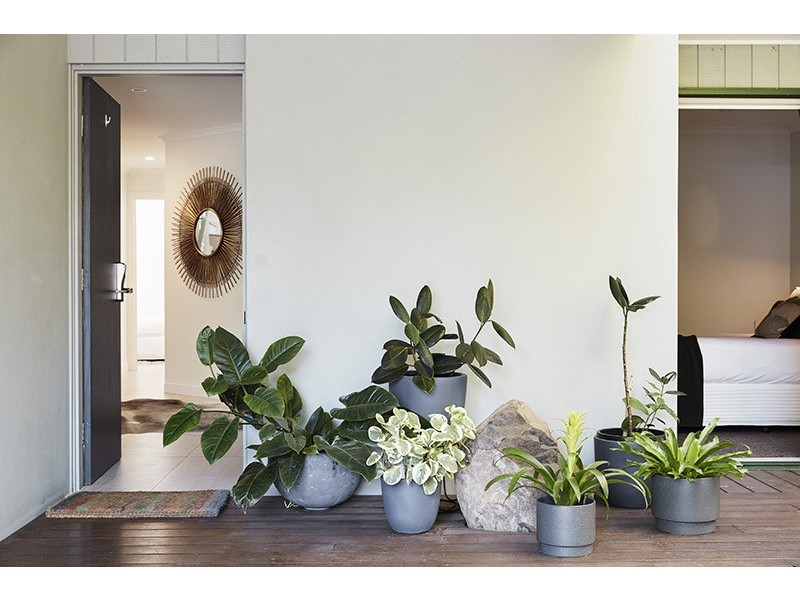 78 Lawson Street, Byron Bay NSW 2481