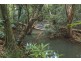 549 Friday Hut Road, Brooklet NSW 2479