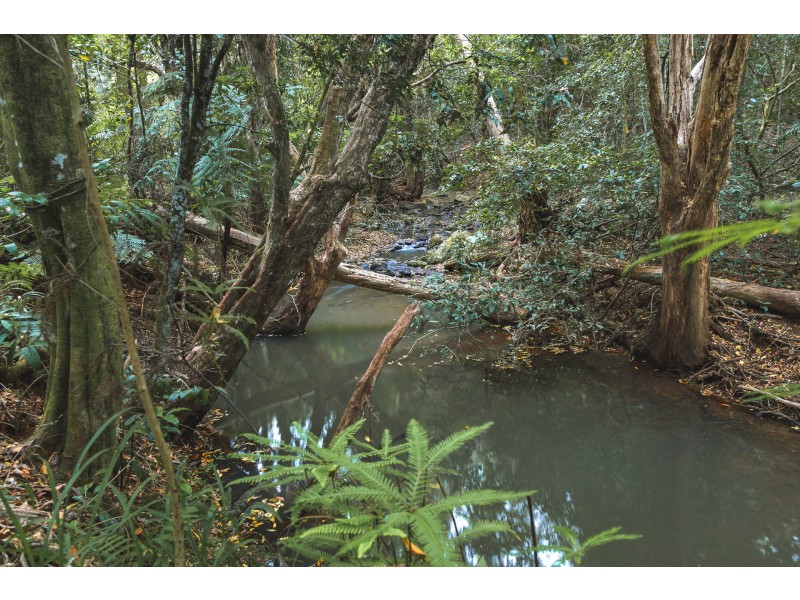549 Friday Hut Road, Brooklet NSW 2479