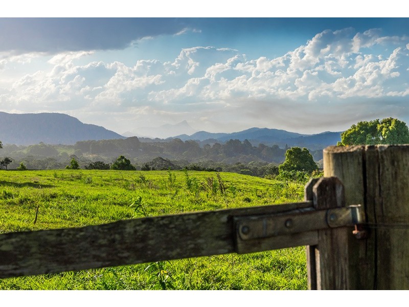 10 Grays Lane, Tyagarah NSW 2481