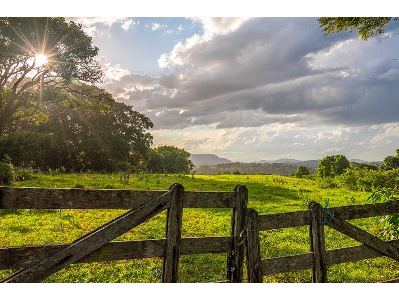 10 Grays Lane, Tyagarah NSW 2481