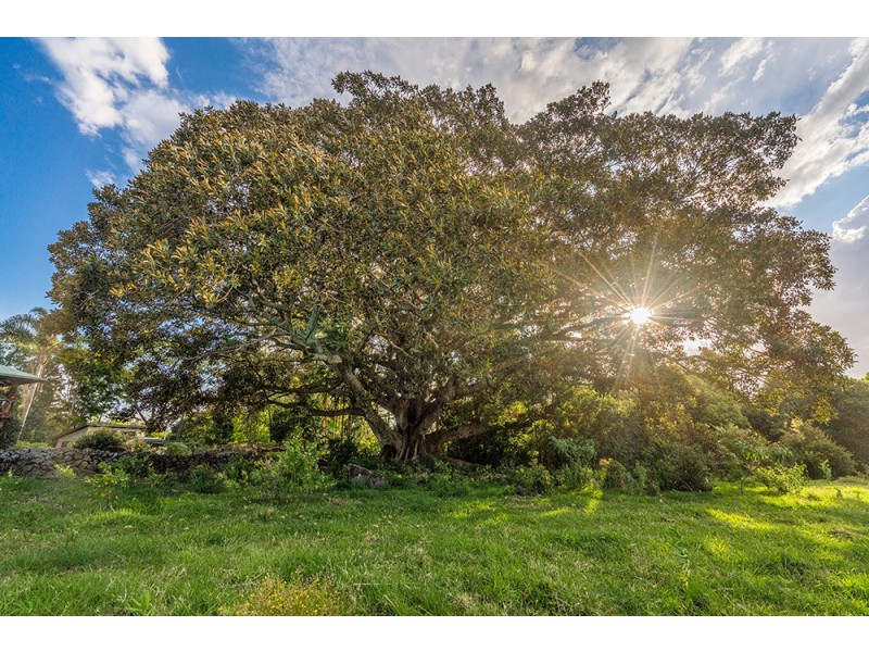 10 Grays Lane, Tyagarah NSW 2481