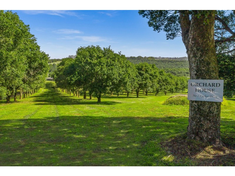 1 Lychee Drive, Rosebank NSW 2480