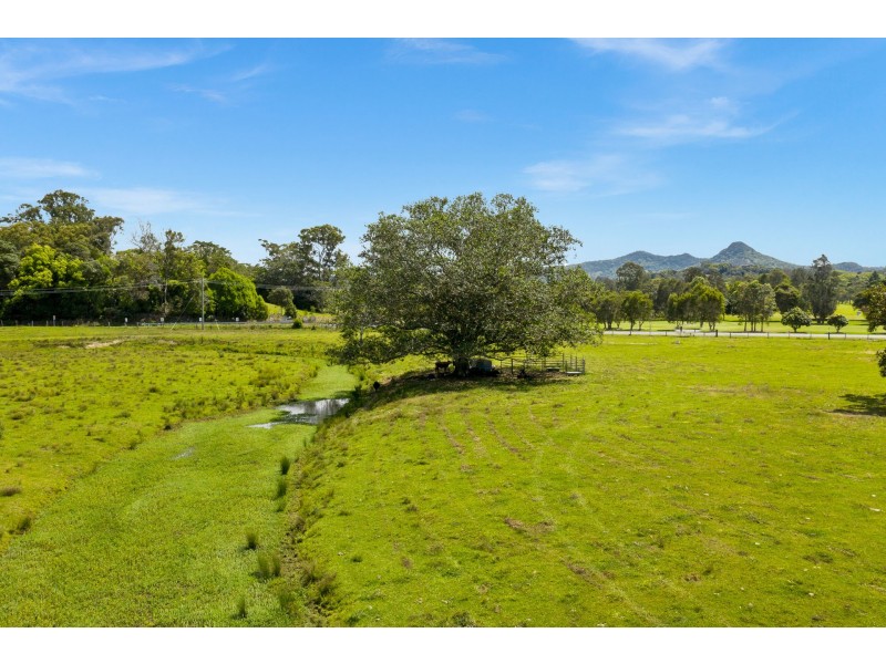 1247 Myocum Road, Mullumbimby NSW 2482