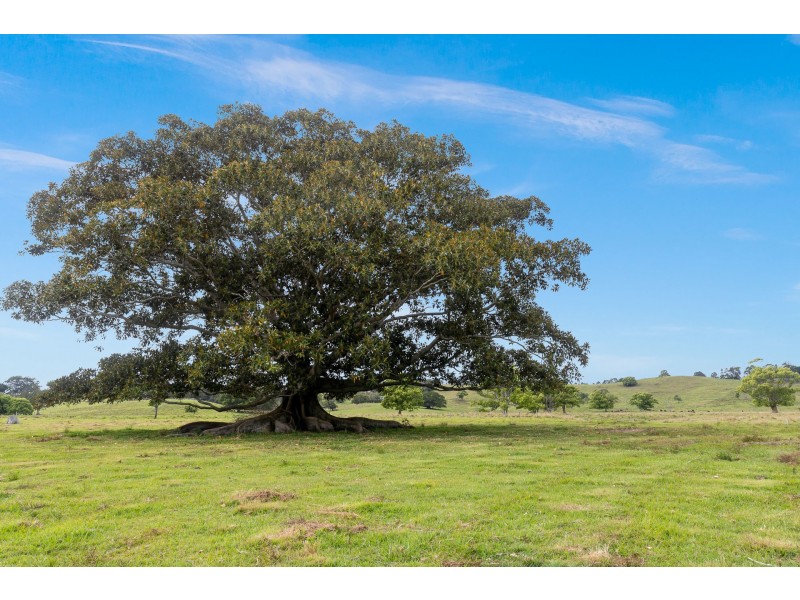 1247 Myocum Road, Mullumbimby NSW 2482