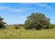 1247 Myocum Road, Mullumbimby NSW 2482