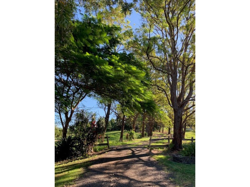 54 Duncan Road, Numulgi NSW 2480