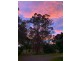 54 Duncan Road, Numulgi NSW 2480