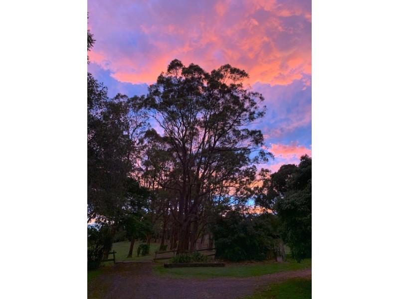 54 Duncan Road, Numulgi NSW 2480