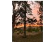 54 Duncan Road, Numulgi NSW 2480