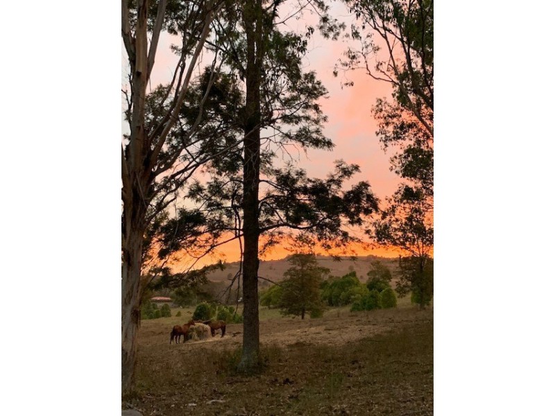 54 Duncan Road, Numulgi NSW 2480
