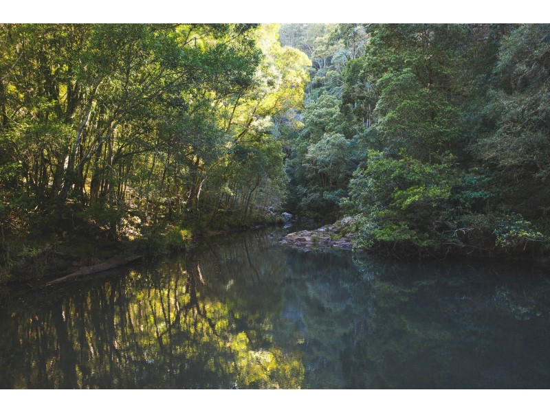 Lot 21 510 Goonengerry Road, Montecollum NSW 2482