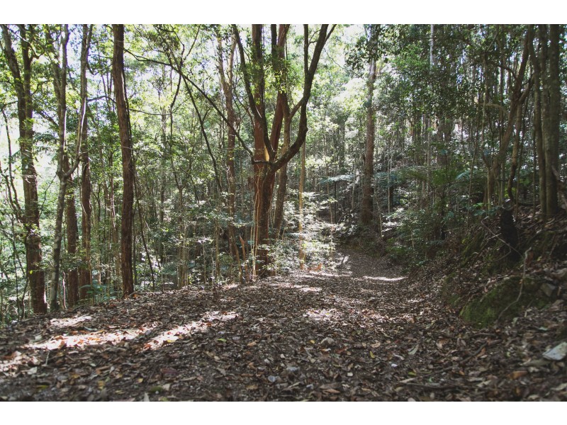 Lot 21 510 Goonengerry Road, Montecollum NSW 2482