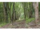 167 Sheaffes Road, Goonengerry NSW 2482