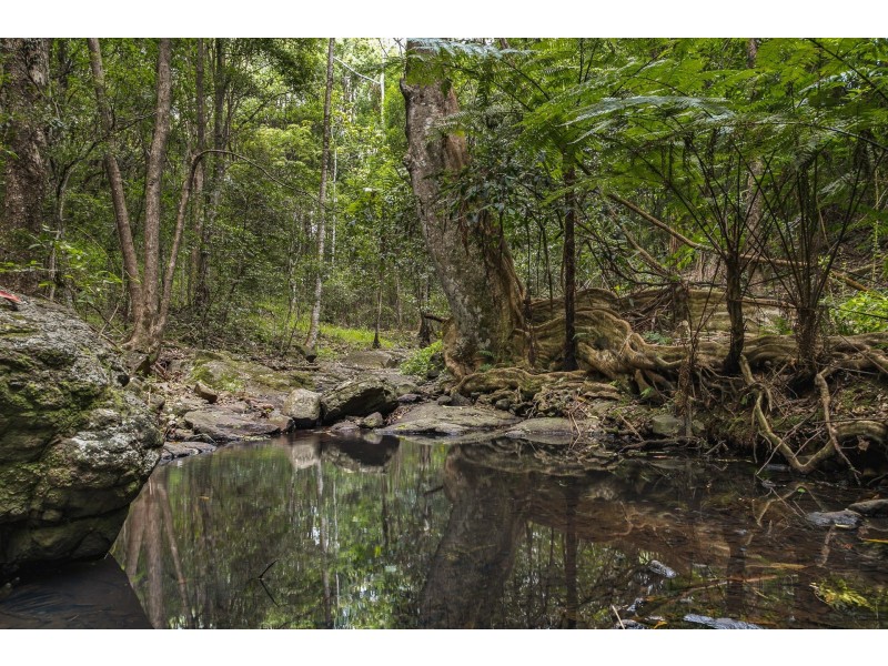 167 Sheaffes Road, Goonengerry NSW 2482