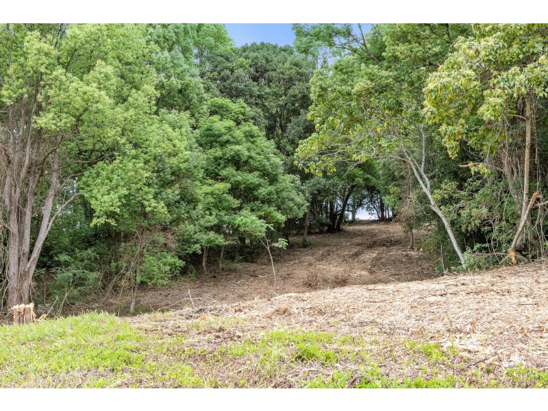 167 Sheaffes Road, Goonengerry NSW 2482