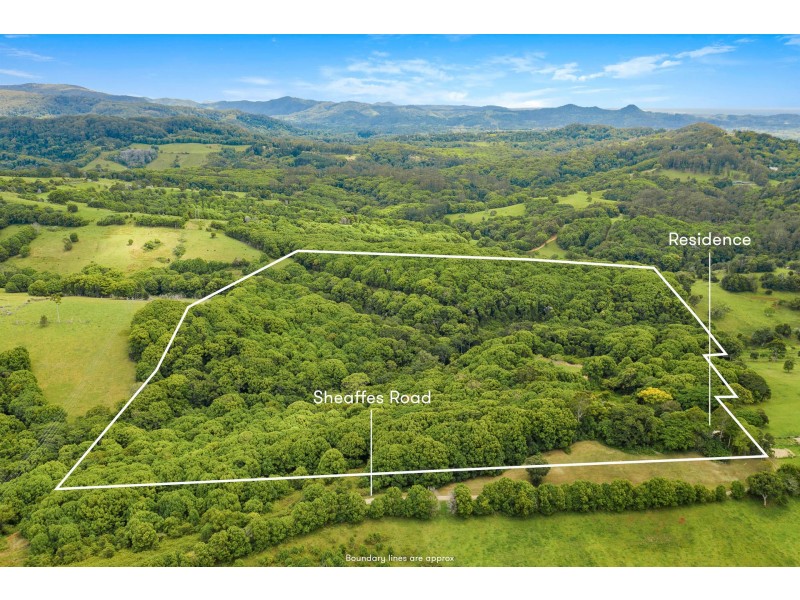 167 Sheaffes Road, Goonengerry NSW 2482