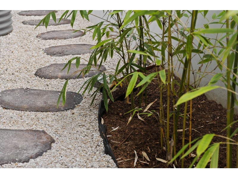 6a Tinbin Way, Ocean Shores NSW 2483