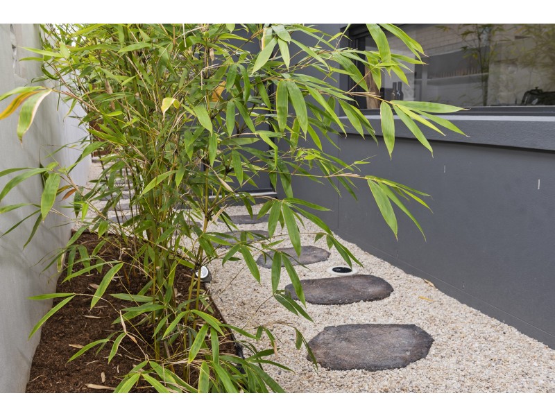 6a Tinbin Way, Ocean Shores NSW 2483