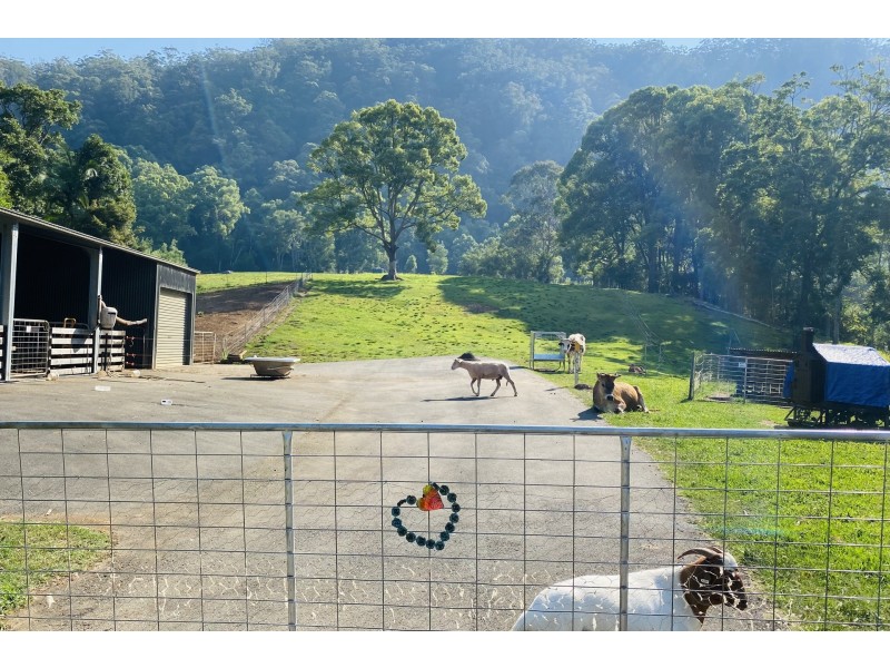 753 Wilsons Creek Road, Wilsons Creek NSW 2482