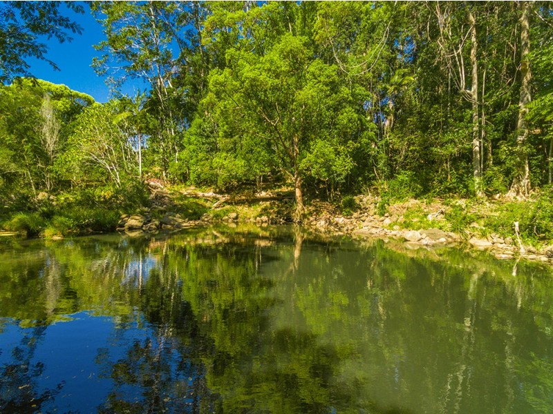 753 Wilsons Creek Road, Wilsons Creek NSW 2482