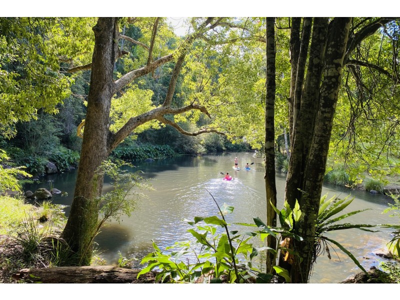 753 Wilsons Creek Road, Wilsons Creek NSW 2482