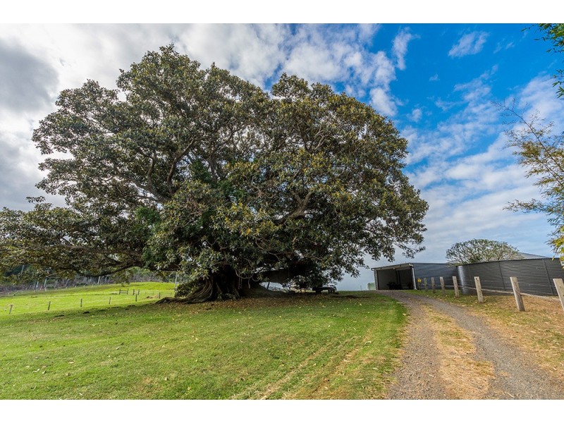 66 The Saddle Road, Brunswick Heads NSW 2483