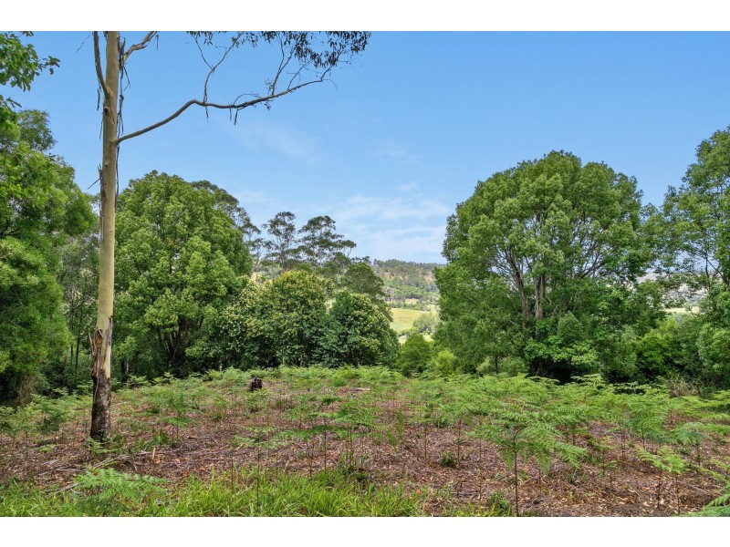 336 The Channon Road, The Channon NSW 2480